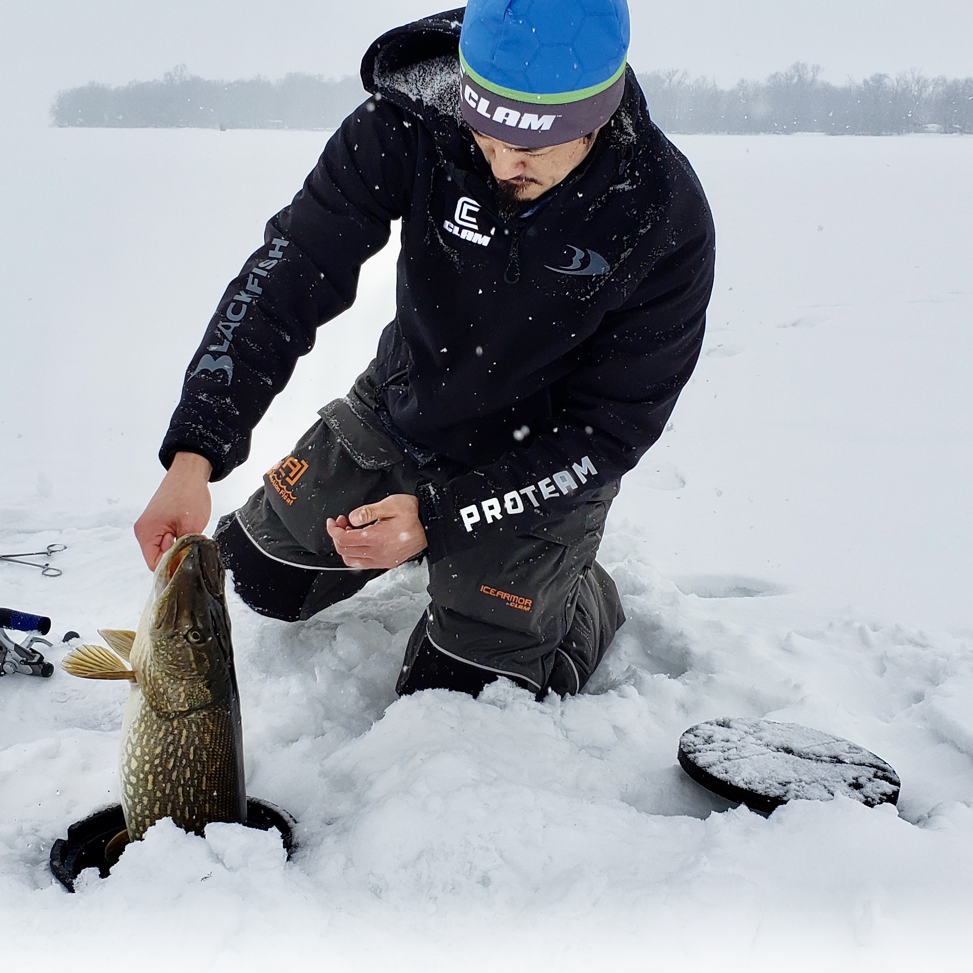 Vertical outdoor photograph